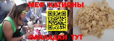 индика Дубна