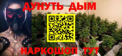 индика Дубна